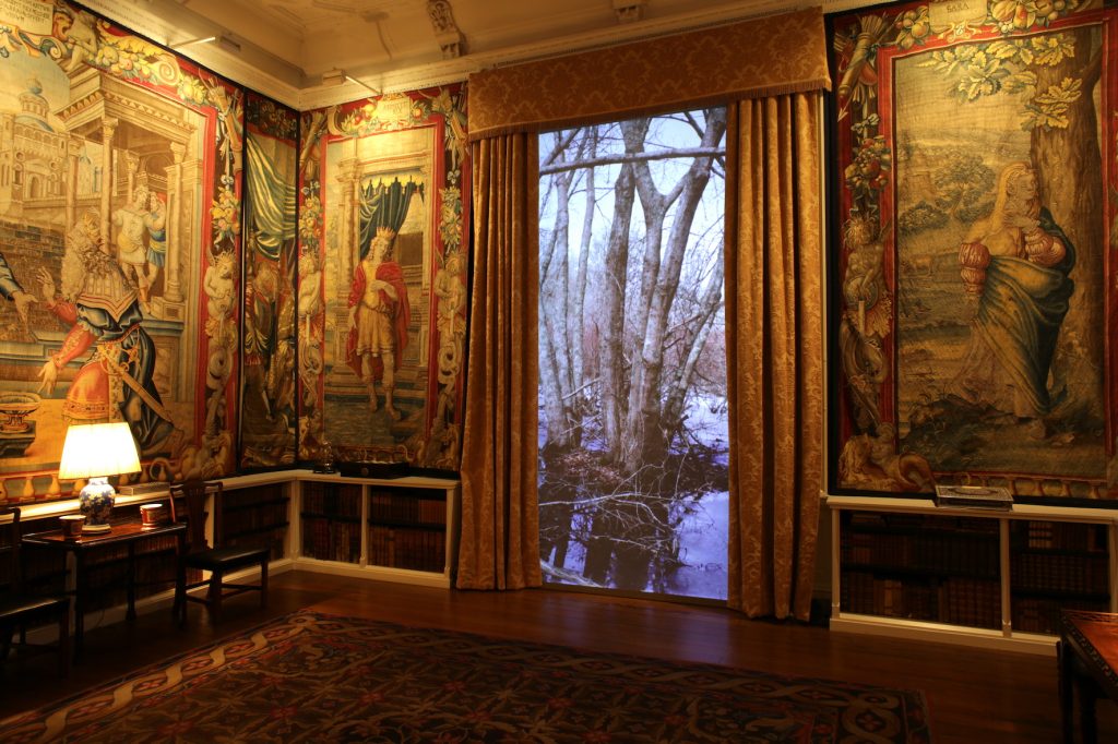 Video installation from 'The Edge of Things' at Blickling Hall, showing the landscape around Mashpee, Massachusetts