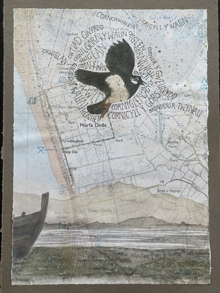 Bricolage with a painting of a lapwing and a variety of its Welsh names overlaid on a map of the area around Morfa Dinlle